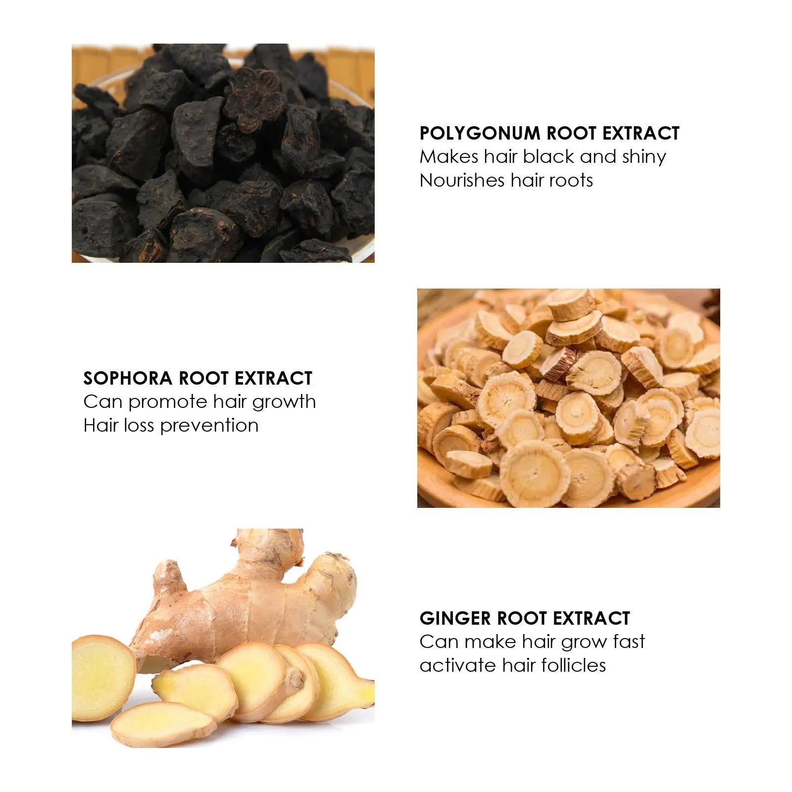 RootBotanic™ Infusion Suero | Anticaída y Nutrición Avanzada